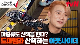 산책하는 도마뱀이 왜 거기서 나와... 없는 게 없는 아웃사이더 | tvN 240530 방송