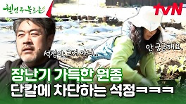 선배님, 안 궁금해요🤫 원종 헛소리 칼같이 차단하는 석정 일이나 하자~ #유료광고포함 | tvN 240504 방송