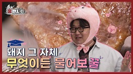 돼지 그 자체, 무엇이든 물어보꿀! l 홍판사판 l EP.03-02 | KBS Joy 240419 방송