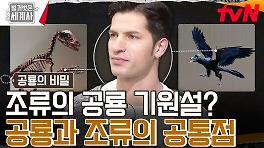공룡은 멸종한 게 아니다..? 많은 논란을 낳은 '조류의 공룡 기원설' | tvN 240514 방송