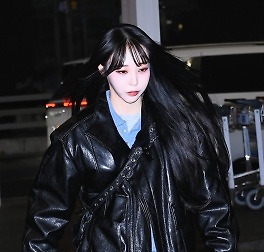 스타들의 공항패션