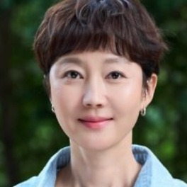 투표