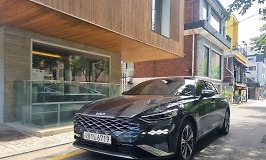 고령 운전자의 착각으로 인한 역주행 사고 | 다음자동차 고령 운전자의 착각으로 인한 역주행 사고 | 다음자동차