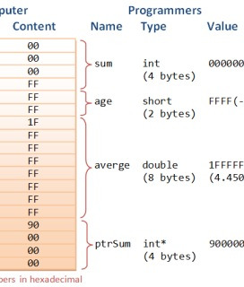 C Pointers References And Dynamic Memory Allocation