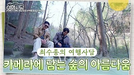 카메라에 담아보는 숲의 아름다움 한가로이 숲길을 거닐며 담소를 나누는 두 사람 | KBS 240430 방송