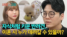 부부가 함께 키운 자식 같은 반려견은 누가 데려갈까? | JTBC 240425 방송