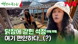 병아리들이 왔어요! 마치 어미닭 같은 석정ㅋㅋㅋ #유료광고포함 | tvN 240420 방송