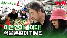진짜 봄이 왔어요 끝이 안 보이는 분갈이도 왔어요... #유료광고포함 | tvN 240427 방송