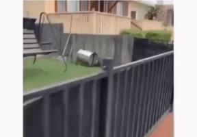 옆집 개 때문에 맨날 지각하는 사람.gif 이미지