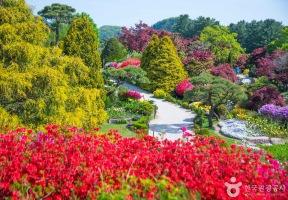 5월 연휴 어디 갈까?" 멀리 안 가도 좋은 힐링 명소 추천 best 4 이미지