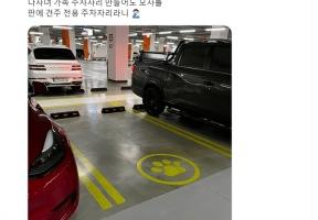 요즘 신설된 주차장 논란 이미지
