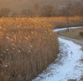 [포토친구] 겨울 햇살 아래
