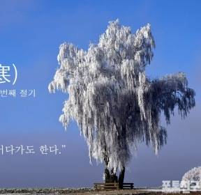 [포토친구] 소한 (小寒)
