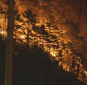 양양 산불 15시간째 지속..주민 140여 명 긴급 대피