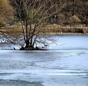 [포토친구] 꽁꽁꽁