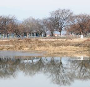 [포토친구] 성밖숲 이천 천변의 반영