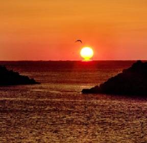 [앵글속 세상] '1억5000만 화소'.. 무한 가능성에 압도 당하다