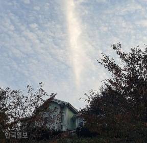 [서재훈의 아웃프레임] 가을수채화