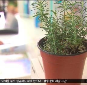 [스마트 리빙] 겨울잠 자는 반려식물, 물 자주 주지 마세요