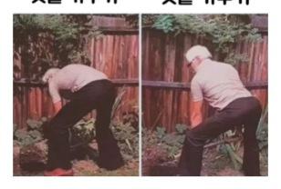 웨이트 전과 후.jpg 이미지