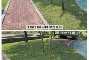 중소기업 7년 다니던 사람이 신입이 오자마자 퇴사한 이유.jpg 이미지