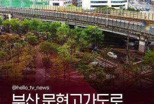 45년 된 고가도로 이제는 철거할 때? 이미지