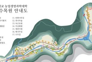 “5월 11일 지나면 다시 못 봅니다”… 58년 만에 열린 비밀의 숲 이미지