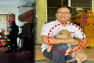 "너무 고마워"...주인을 물게 된 강아지, 밝혀진 사연에 모두가 눈물 이미지