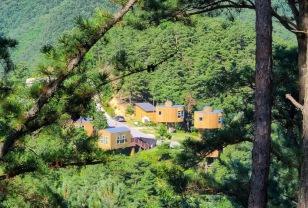 예약만 성공하면 이미 ‘여행 반은 성공’대한민국 1등 휴양림 이미지