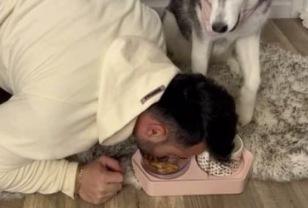 아빠가 자기 보는 앞에서 고개 숙여 밥 먹는 척 연기하자 강아지의 놀라운 리액션 이미지