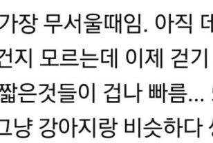 아기들 한국나이 3살때가 가장 무서울때인 이유.jpg 이미지
