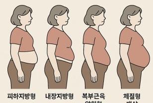 내 뱃살은 어떤 모양? "뱃살 모양"에 따라 달라지는 다이어트법 이미지