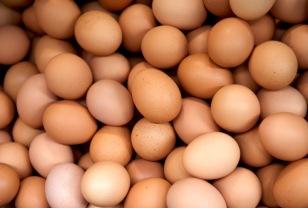 매일 아침 계란 '이렇게' 먹으면 눈이 밝아지고 치매가 사라집니다! 이미지
