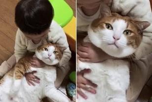 아기가 귀엽다면서 끌어 안고 있는 탓에 꼼짝 못하게 된 고양이의 표정 이미지