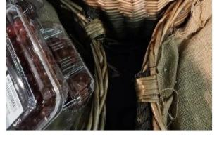 무단으로 블루베리 5kg 넘게 몰래 따간 사람 이미지