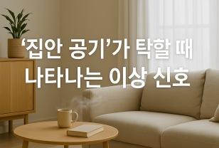 공기 정화에 좋은 실내 식물 추천 이미지