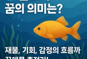 물고기 꿈해몽 총정리 이미지