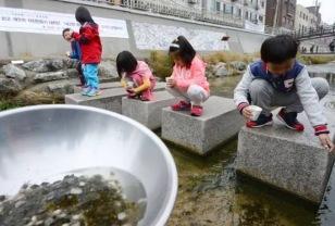 논에 널려있었는데… 꽃게에 밀려 사라졌다는 최고급 한국 식재료 이미지