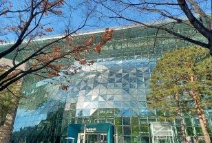 "49세에서 45세로" 서울시, 난자동결 지원사업 상한 연령 축소 검토 이미지