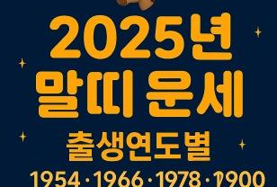 2025년 말띠 운세 총정리 이미지