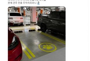 요즘 신설된 주차장 논란 이미지