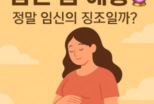임신 꿈해몽 총정리 이미지