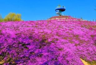 "가족 나들이 고민 끝!" 5060세대가 직접 추천한 만족도 1위 여행지 이미지