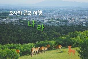 지나가는 사슴이 센베이를 잽싸게 물어가는 오사카 근교 시골 여행, 나라(+꿀팁, 가는방법) 이미지