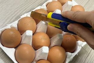 계란판을 칼로 자르세요! 한번 알면 평생 유용한 계란판 활용법 이미지
