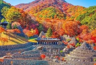 "한국에도 이런 곳이?" 1,500개 돌탑이 있는 이색 명소 이미지