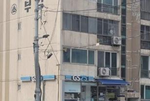 "빌라 1층에 저게 뭐지?" 두 눈을 의심케한 수원 '빌트인 편의점' 이미지