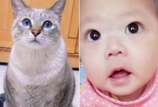 10년 함께 산 고양이가 떠나기 전 "내 아이로 태어나줘" 말했더니 생긴 일 이미지