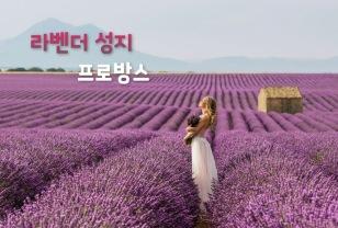 "전 세계가 주목하는 라벤더 성지" 프랑스 남부 여행, 프로방스 이미지