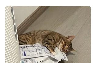 쿠팡으로 주문했는데 맛있었나봐..ㅠㅠ 이미지